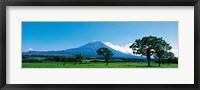 Framed Mt Fuji Shizuoka Japan