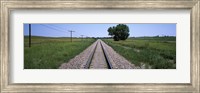 Framed Telephone poles along a railroad track, Custer County, Nebraska