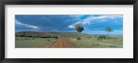 Framed Masai Mara Game Reserve Kenya