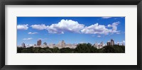 Framed Trees with row of buildings, Central Park, Manhattan, New York City, New York State, USA