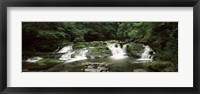 Framed Dingmans Creek flowing through a forest, Dingmans Falls Area, Delaware Water Gap National Recreation Area, Pennsylvania, USA