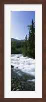 Framed River flowing through a forest, Little Susitna River, Hatcher Pass, Talkeetna Mountains, Alaska, USA