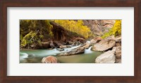 Framed Cottonwood trees and rocks along Virgin River, Zion National Park, Springdale, Utah, USA