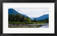 Framed Trees in front of mountains in Quinault Rainforest, Olympic National Park, Washington State, USA