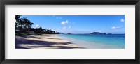 Framed Palm trees on the beach, Lanikai Beach, Oahu, Hawaii, USA