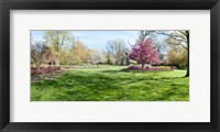Framed Trees in a Garden, Sherwood Gardens, Baltimore, Maryland