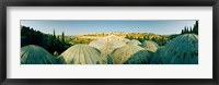 Framed Domes at the Church of All Nations, Jerusalem, Israel