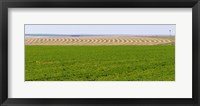 Framed Harvested alfalfa field patterns, Oklahoma, USA