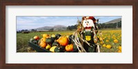 Framed Scarecrow in Pumpkin Patch, Half Moon Bay, California (horizontal)