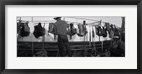 Framed Cowboy with tacks at rodeo, Pecos, Texas