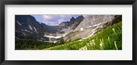 Framed Beargrass with mountains in the background, Montana