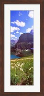 Framed Beargrass with Grinnell Lake in the background, US Glacier National Park, Montana