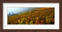 Framed Vineyards and village in autumn, Valais Canton, Switzerland