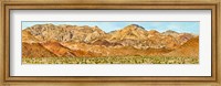 Framed Bushes in a desert with mountain range in the background, Death Valley, Death Valley National Park, California