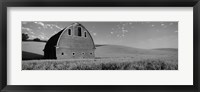 Framed Black and White view of Old barn in a wheat field, Washington State