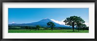 Framed Mt Fuji Shizuoka Japan