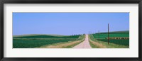 Framed Road along fields, Minnesota, USA