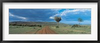 Framed Masai Mara Game Reserve Kenya