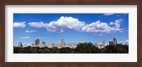 Framed Trees with row of buildings, Central Park, Manhattan, New York City, New York State, USA