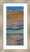 Framed Indian Ocean, Fringe Reef, Mombasa Marine National Park and Reserve, Kenya