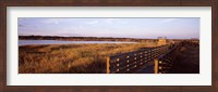 Framed Boardwalk in a state park, Myakka River State Park, Sarasota, Sarasota County, Florida, USA