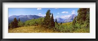 Framed Trees with mountains in the background, Looking Glass, US Glacier National Park, Montana, USA