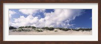 Framed Sand dunes, Cape Hatteras National Seashore, Outer Banks, North Carolina, USA