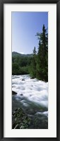 Framed River flowing through a forest, Little Susitna River, Hatcher Pass, Talkeetna Mountains, Alaska, USA