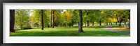 Framed Trees in autumn, Blue Lake Park, Portland, Multnomah County, Oregon, USA