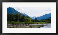 Framed Trees in front of mountains in Quinault Rainforest, Olympic National Park, Washington State, USA