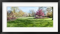 Framed Trees in a Garden, Sherwood Gardens, Baltimore, Maryland
