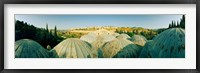 Framed Domes at the Church of All Nations, Jerusalem, Israel