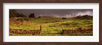 Framed Stone wall in a field, Kula, Maui, Hawaii, USA