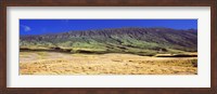 Framed Landscape with Haleakala Volcanic Crater, Maui, Hawaii, USA