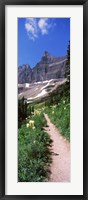 Framed Hiking trail at US Glacier National Park, Montana, USA