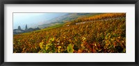 Framed Vineyards and village in autumn, Valais Canton, Switzerland