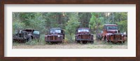 Framed Old rusty cars and trucks on Route 319, Crawfordville, Wakulla County, Florida, USA