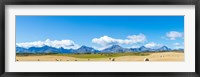 Framed Hay bales in a field with Canadian Rockies in the background, Alberta, Canada