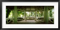 Framed Canopy in the botanical garden, Jardim Botanico, Zona Sul, Rio de Janeiro, Brazil