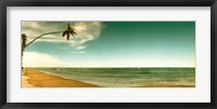 Framed Single leaning palm tree on the beach, Morro De Sao Paulo, Tinhare, Cairu, Bahia, Brazil