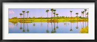 Framed Reflection of trees on water, Lake Worth, Palm Beach County, Florida, USA