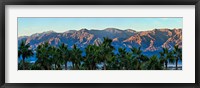 Framed Palm trees with mountain range in the background, Furnace Creek Inn, Death Valley, Death Valley National Park, California, USA