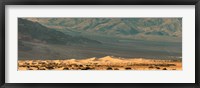 Framed Sand dunes in a desert, Death Valley, Death Valley National Park, California, USA