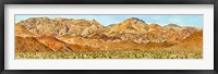 Framed Bushes in a desert with mountain range in the background, Death Valley, Death Valley National Park, California