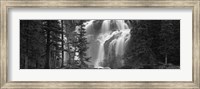 Framed Waterfall in a forest, Banff, Alberta, Canada (black and white)