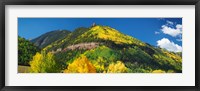 Framed Aspen trees on mountain, Needle Rock, Gold Hill, Uncompahgre National Forest, Telluride, Colorado, USA