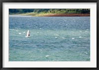 Framed Wind surfer in a lake, Arenal Lake, Guanacaste, Costa Rica