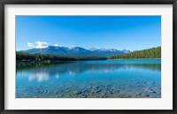 Framed Patricia Lake with mountains in the background, Jasper National Park, Alberta, Canada