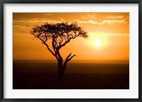 Framed Silhouette of tree at dusk, Tanzania