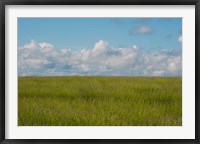 Framed Lavender Field, France